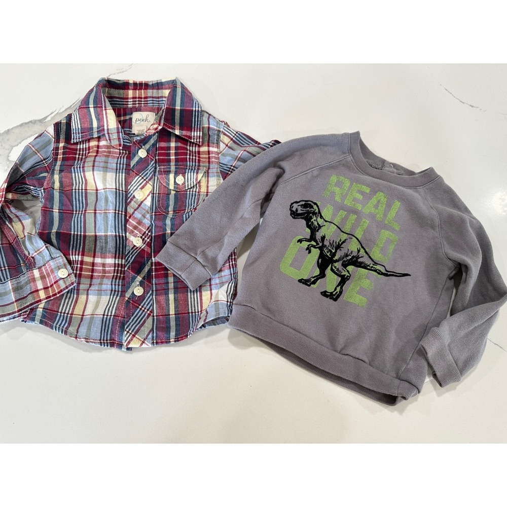 Peek Little Peanut Toddler‎ Boys Plaid Dinosaur Sweatshirt 12-18 mos Lot